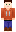 skin of a player