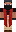 skin of a player