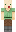 skin of a player
