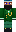 skin of a player