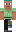 skin of a player