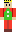 skin of a player