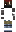 skin of a player