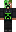 skin of a player