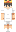 skin of a player