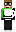 skin of a player