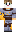 skin of a player
