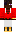 skin of a player