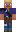 skin of a player