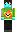 skin of a player