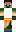 skin of a player