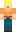 skin of a player