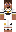 skin of a player