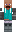 skin of a player