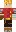 skin of a player