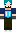 skin of a player