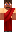 skin of a player