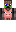 skin of a player