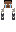 skin of a player