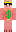 skin of a player