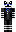 skin of a player