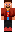 skin of a player