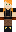skin of a player