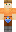 skin of a player