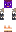skin of a player