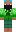 skin of a player
