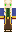 skin of a player