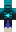 skin of a player