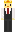 skin of a player