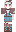 skin of a player