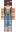 skin of a player
