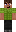 skin of a player