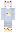 skin of a player