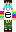 skin of a player