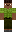 skin of a player