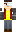 skin of a player