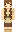skin of a player