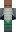 skin of a player