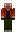 skin of a player