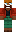 skin of a player