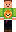 skin of a player