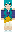skin of a player