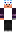 skin of a player