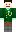 skin of a player