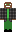 skin of a player