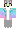 skin of a player